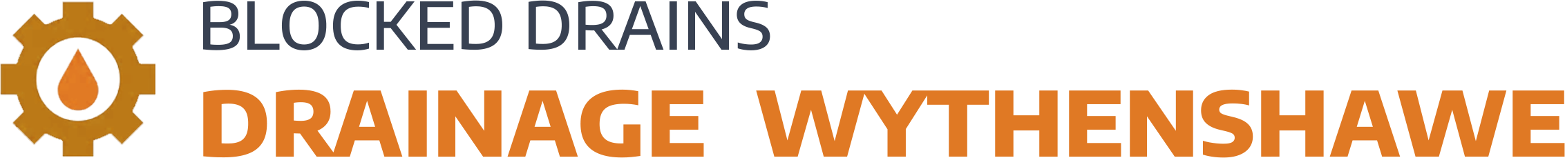 website logo